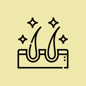 Hair Care